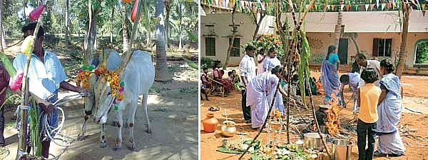 தை பிறந்தால்...வழி பிறக்கும்!