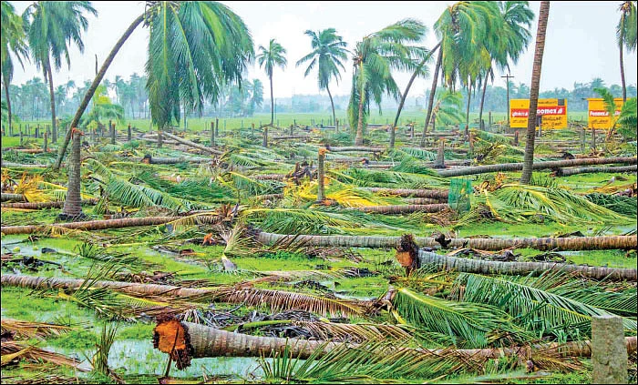 இழந்தது மலையளவு... கொடுப்பது கடுகளவு... அரசின் புயல் நிவாரண மோசடி!