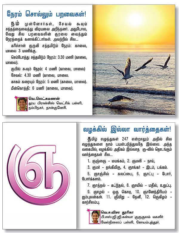 சுட்டி ஸ்டார் நியூஸ்