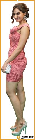 நானே கேள்வி... நானே பதில்