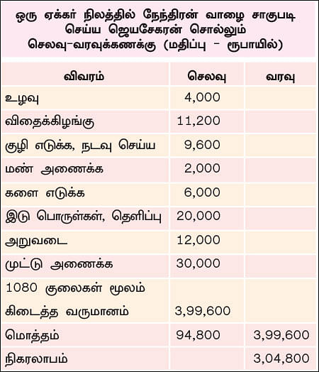 நிச்சய வருமானம் கொடுக்கும் நேந்திரன் வாழை - 1 ஏக்கர்... 10 மாதங்கள்... ரூ 3 லட்சம் லாபம்!