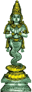 பொதுப் பலன்கள்