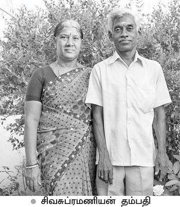 மழைநீர்-சோலார் மின்சாரம்-இயற்கைக் காய்கறிகள்...