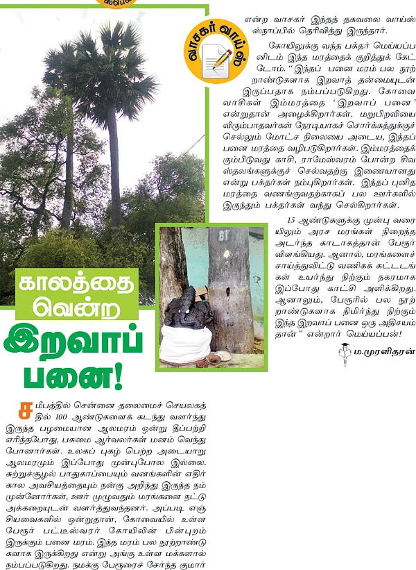காலத்தை வென்ற இறவாப் பனை!