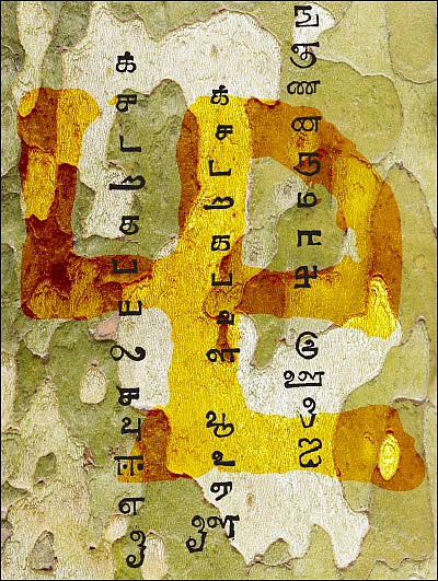 தமிழ் - நம் நிலத்தின் கண்ணாடி - நக்கீரன்