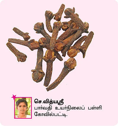 சுட்டி ஸ்டார் நியூஸ்!