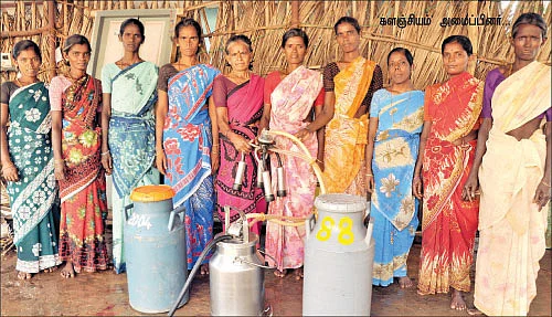 பால் போல பொங்கிய வாழ்க்கை !