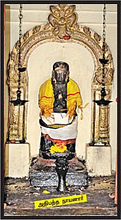 தேவாரத் திருவுலா!