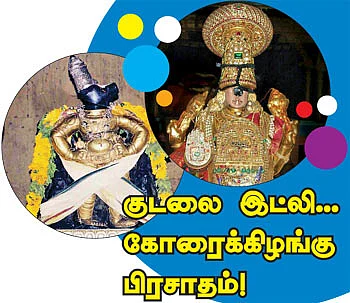குடலை இட்லி... கோரைக்கிழங்கு பிரசாதம்!