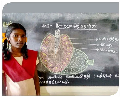 எஃப்.ஏ பக்கங்கள்