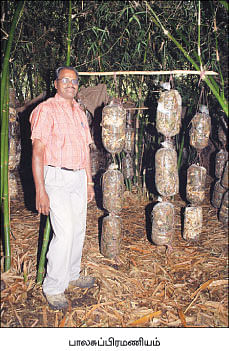 நீங்கள் கேட்டவை
