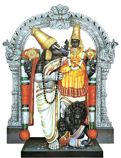 Sakthi Vikatan - 26 May 2015 - திருஷ்டிகள் நீங்கும்... திருமணம் கைகூடும்! |  Nitya Kalyana Perumal Temple Thiruvidanthai - Vikatan