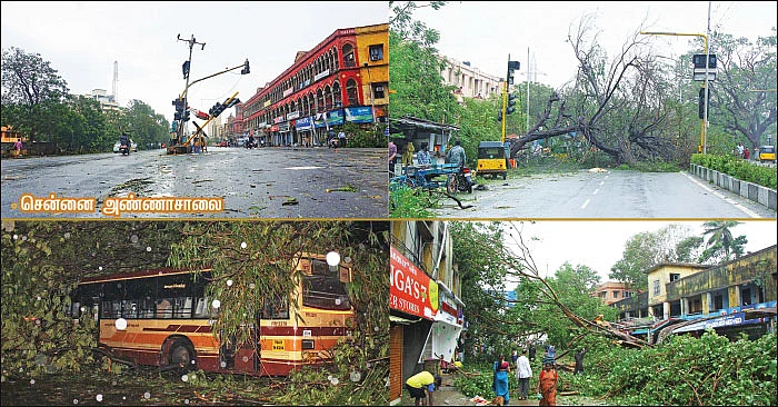 டிசம்பர் பயங்கரம்!