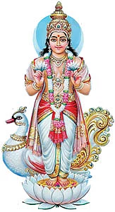 வரம் கொடுக்கும் வழிபாடுகள்!