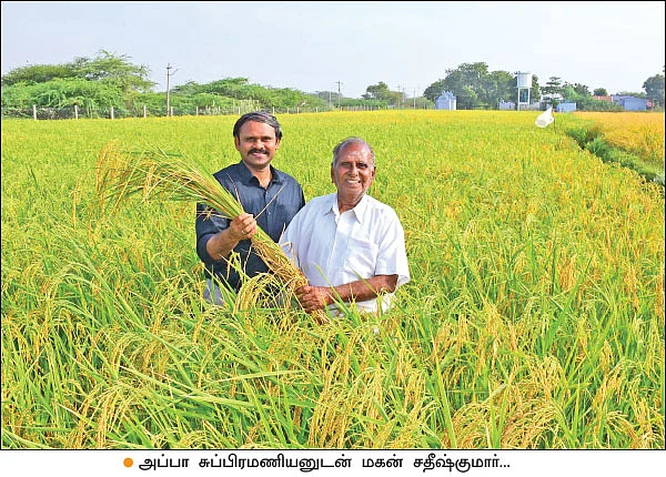 நம்பிக்கை கொடுத்த கிச்சிலிச் சம்பா...