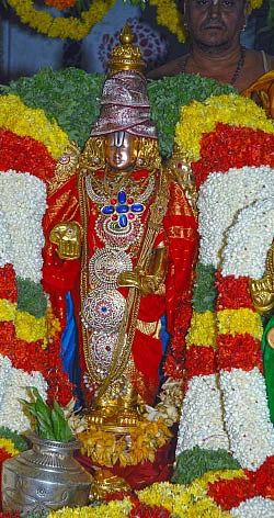 சீரும் சிறப்புமாய் ஸ்ரீவாரி சேவை...
