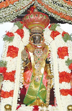 நாரதர் உலா