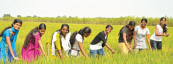 வயலுக்குத்தான் போகலாமடி !
