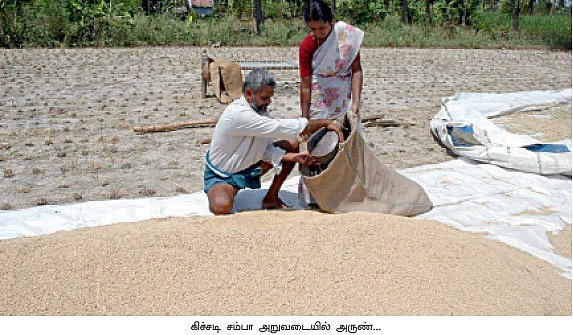 அரை ஏக்கரில் 21 மூட்டை...