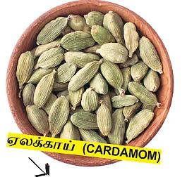 அக்ரி கமாடிட்டி !