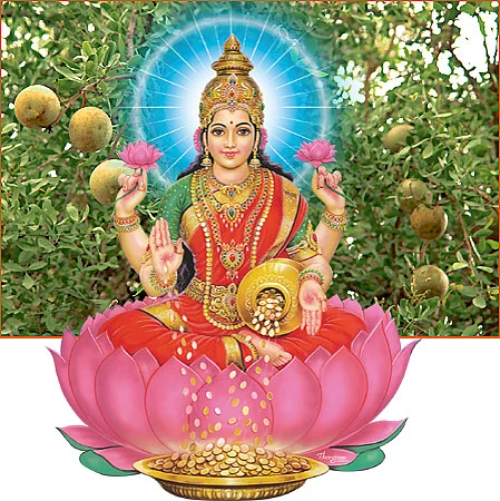 கேள்வி - பதில்