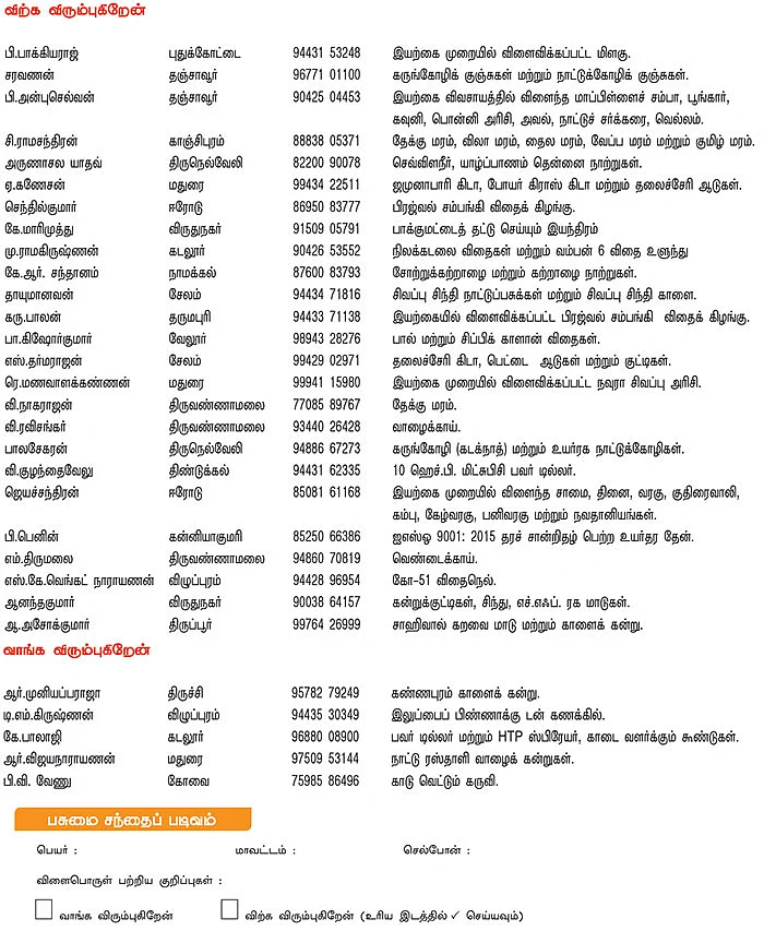 பசுமை சந்தை