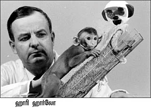 ரொமான்ஸ் ரகசியங்கள் !