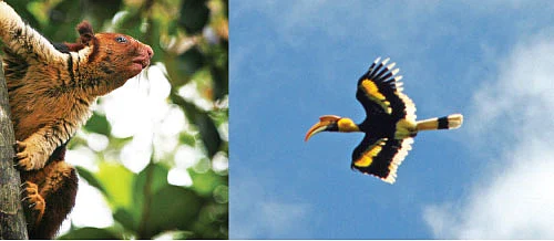 தில்... திகில்... த்ரில்..!