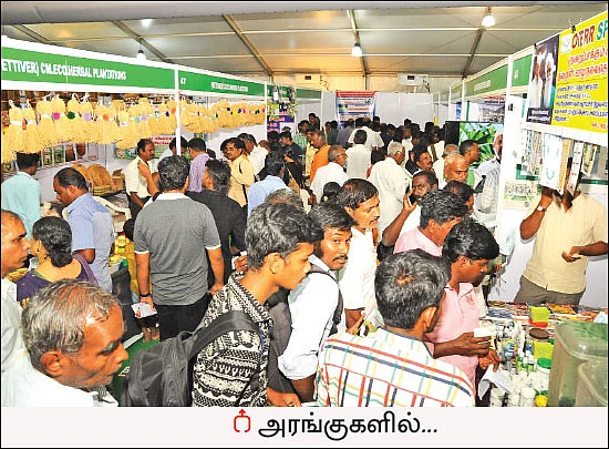 “சின்னத் தொழில்நுட்பங்கள் பெரிய லாபம்!”