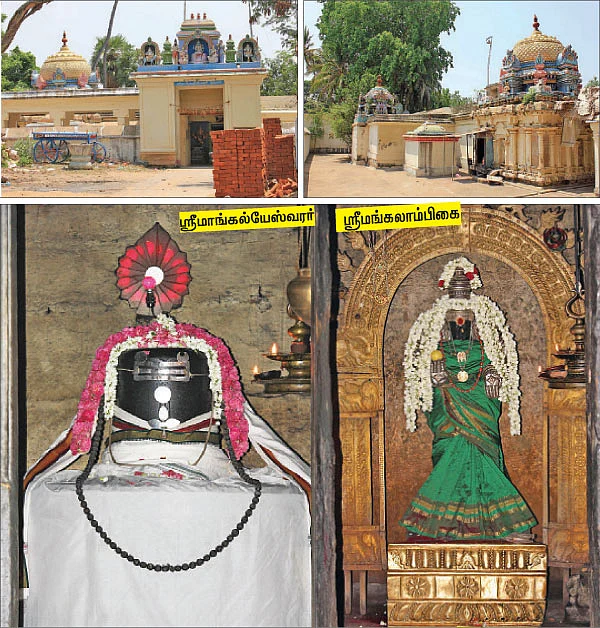 மண முகூர்த்தம் அருளும் மாங்கல்ய மகரிஷி!