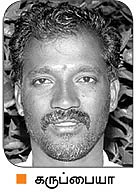 வேம்பு... தோப்பாக வளர்த்தால், தப்பாத வருமானம்!