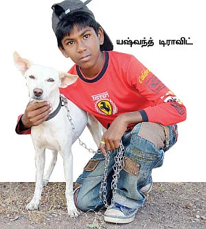 செல்லம் வளர்க்கலாம் உள்ளம் மகிழலாம் !