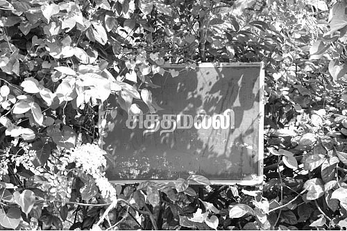 சித்தமெல்லாம் சித்தமல்லி - 4!