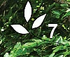 அன்பே தவம் - 7