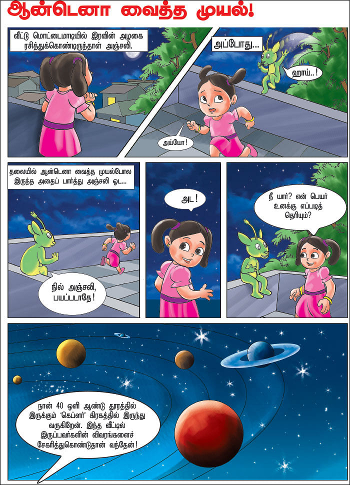 ஆன்டெனா வைத்த முயல்!