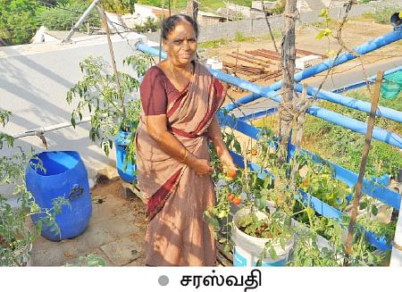 வீட்டுக்குள் விவசாயம் - 3