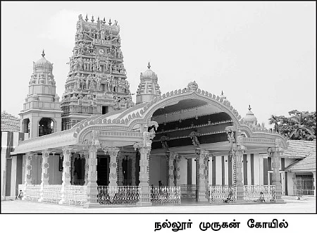 புலித்தடம் தேடி...
