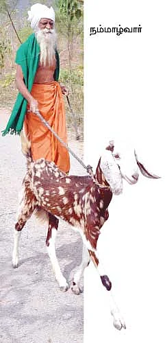 'இயற்கை விளைபொருட்களில் கூடுதல் சத்துக்கள் இல்லை'