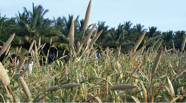மாயா டீச்சரின் மந்திரக் கம்பளம்!