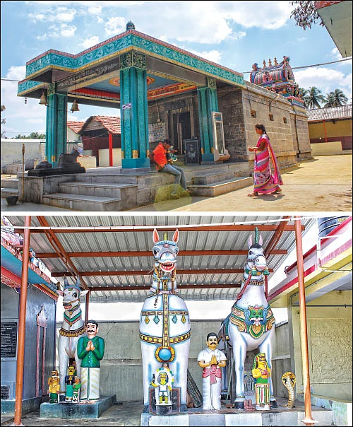 வலிப்பு நோய் குணமாகும் வலுப்பூரம்மன் திருவருளால்!
