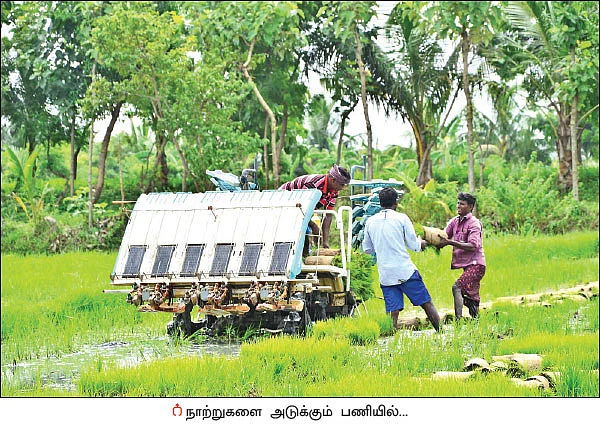 நாற்று நடும் இயந்திரம்... ரூ 2 லட்சம் மானியம்!