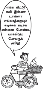 ''ஒரு எலிதான் என்னை கோடீஸ்வரன் ஆக்கியது..!'' 