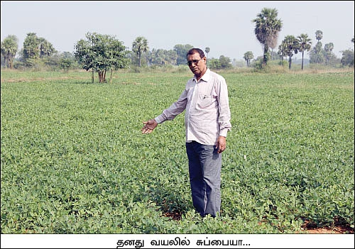 விளைச்சல் என் கையில்... விற்பனை என் பையில்...
