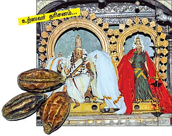 ஆரோக்கியம் அருளும் ஆலய விருட்சங்கள்!