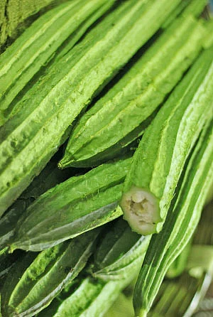 இயற்கை டாக்டர்