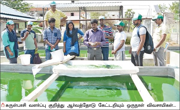 ஒரு நாள் விவசாயி! பருவம் 2 - பண்ணையை நோக்கி பயனுள்ள பயணம் 