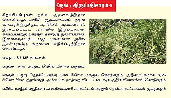 புதுசு...இது,புதுசு !