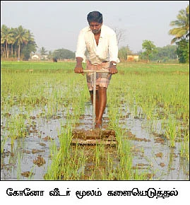 வயல்வெளிப் பள்ளி - கேள்விகளும்...பதில்களும் !