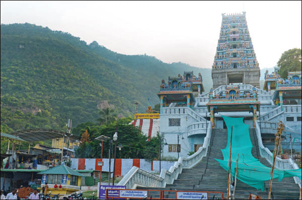 விசாக தரிசனம்: மன நிம்மதி அருள்வான் மருதமலையான்!