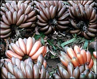 ‘ஊர்’வலம் - நாகர்கோவில்